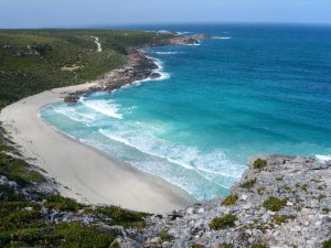 magnificent-leeuwin-naturaliste